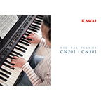 CN201/CN301 brochure