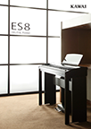 ES8
