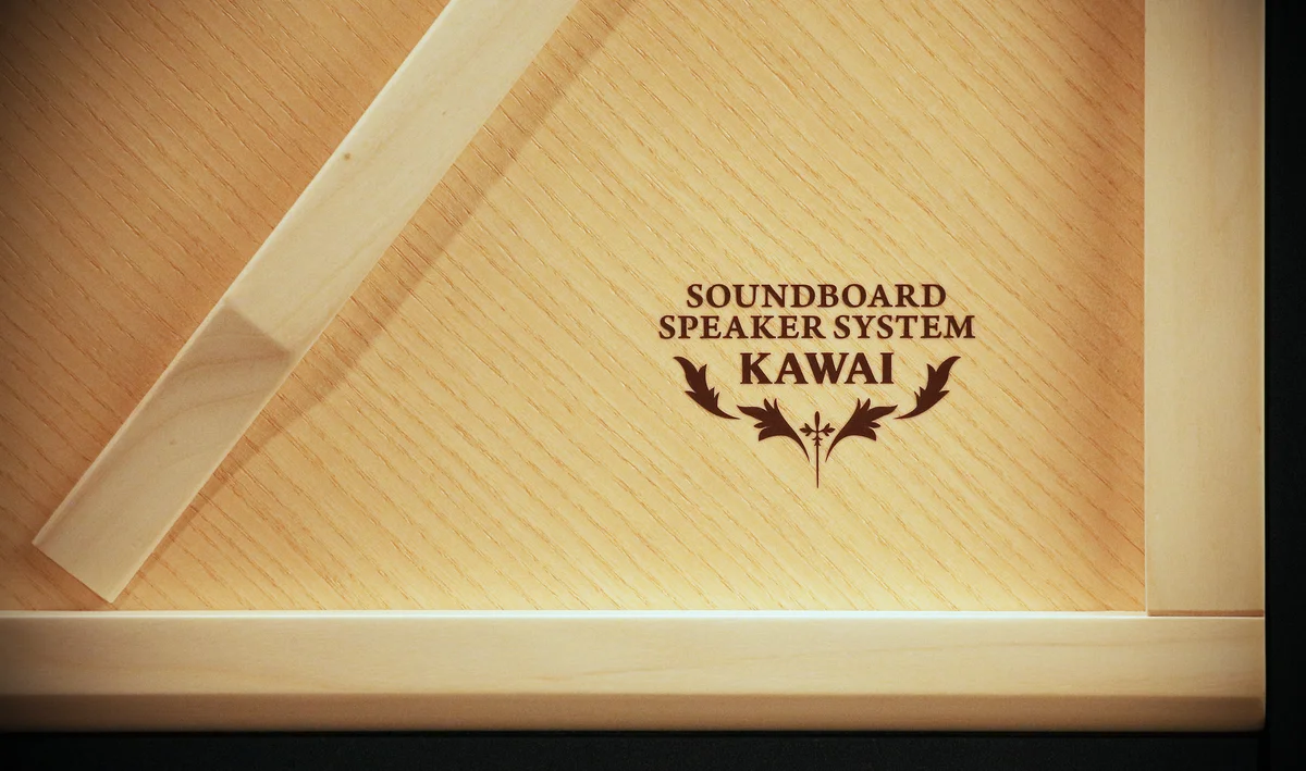 TwinDrive Soundboard Speaker System