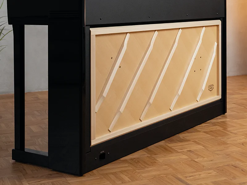 Advanced Speaker System