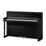 Satin Black