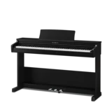 Satin Black