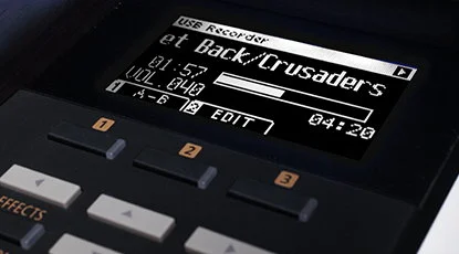 MP3/WAV Playback & Record