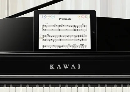Integrated Bluetooth® connectivity