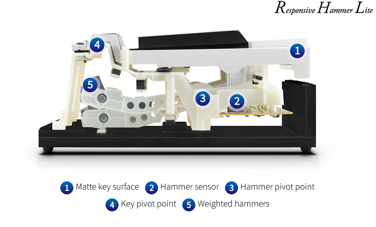 Responsive Hammer Lite keyboard action