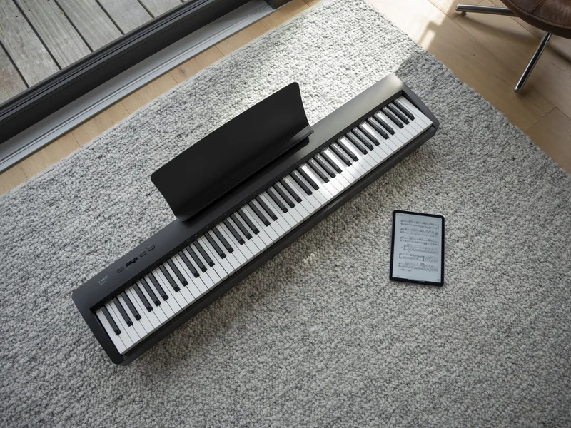 Stylish appearance, compact body