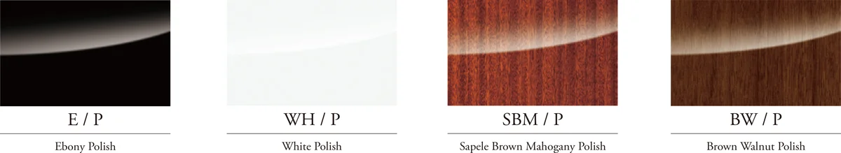 CHOICE OF FINISHES: Elevating the Aesthetic of Your Performance Space