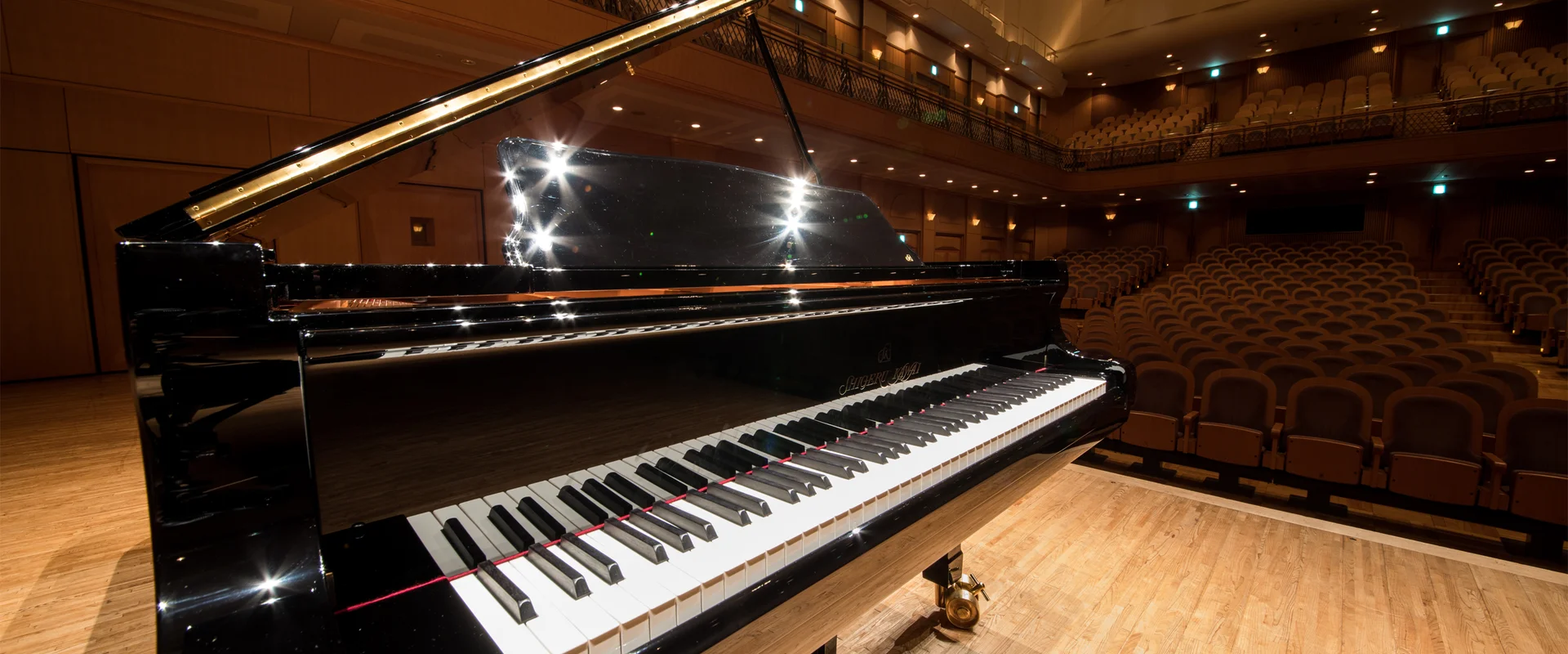 The Sound of a Grand Piano