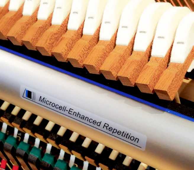 Microcell-Enhanced Repetition