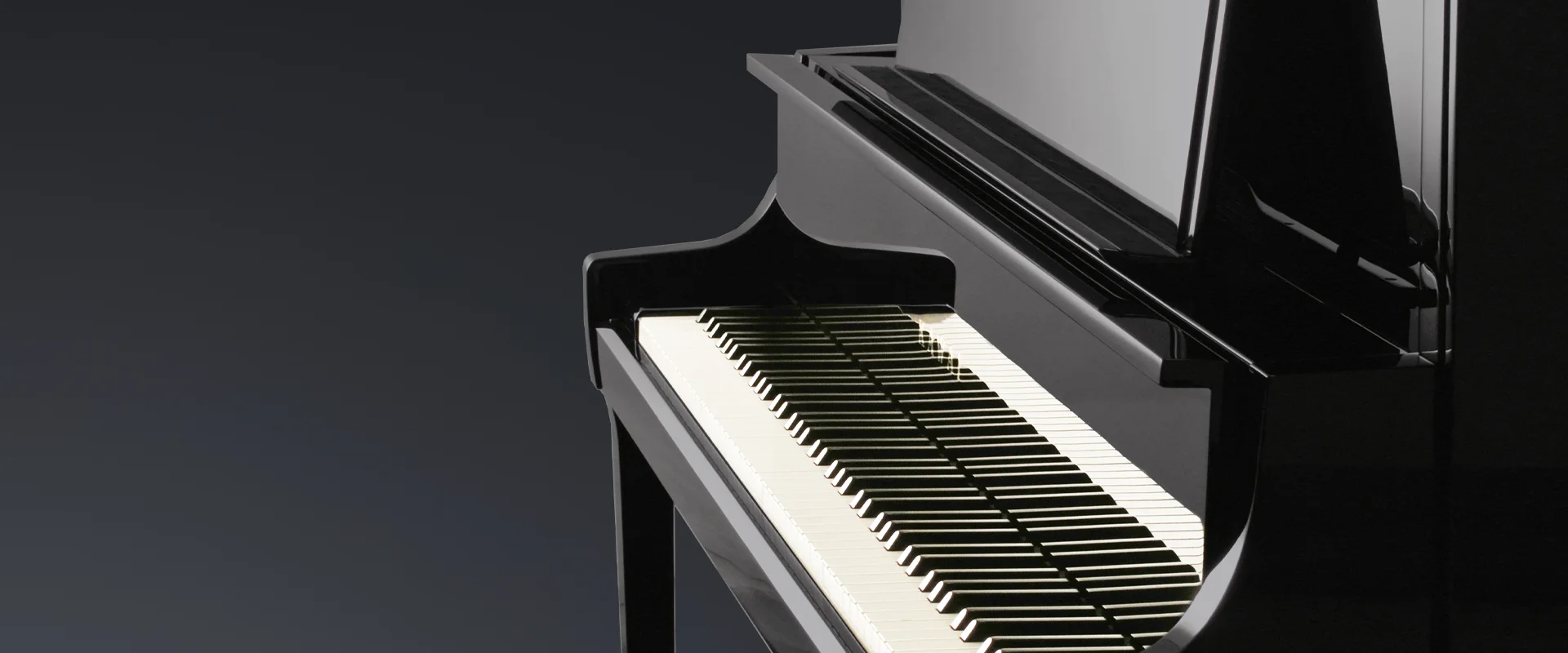 logo_k800.png
