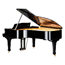 SK-6