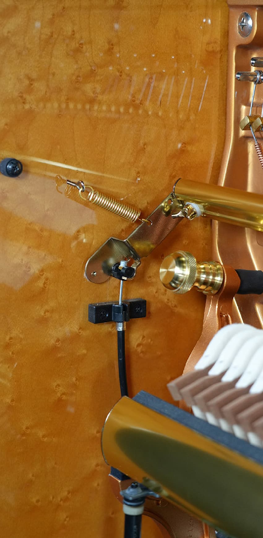 Quietly shining Esprit