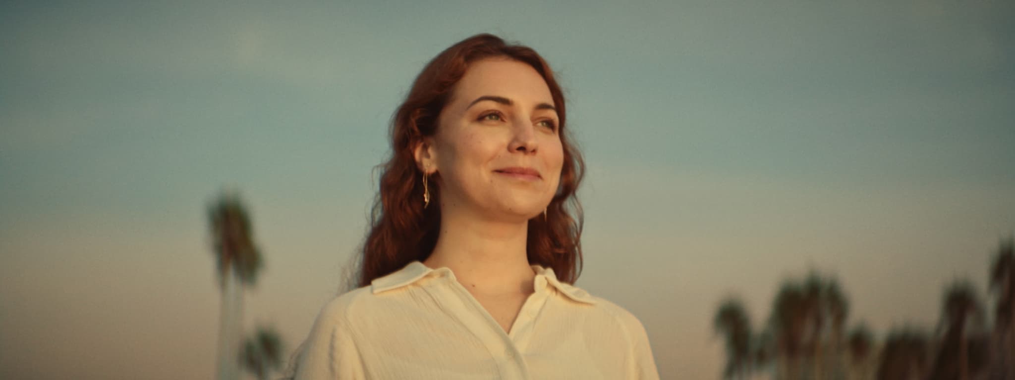 Sostenuto Pedal & Muffler Mechanism