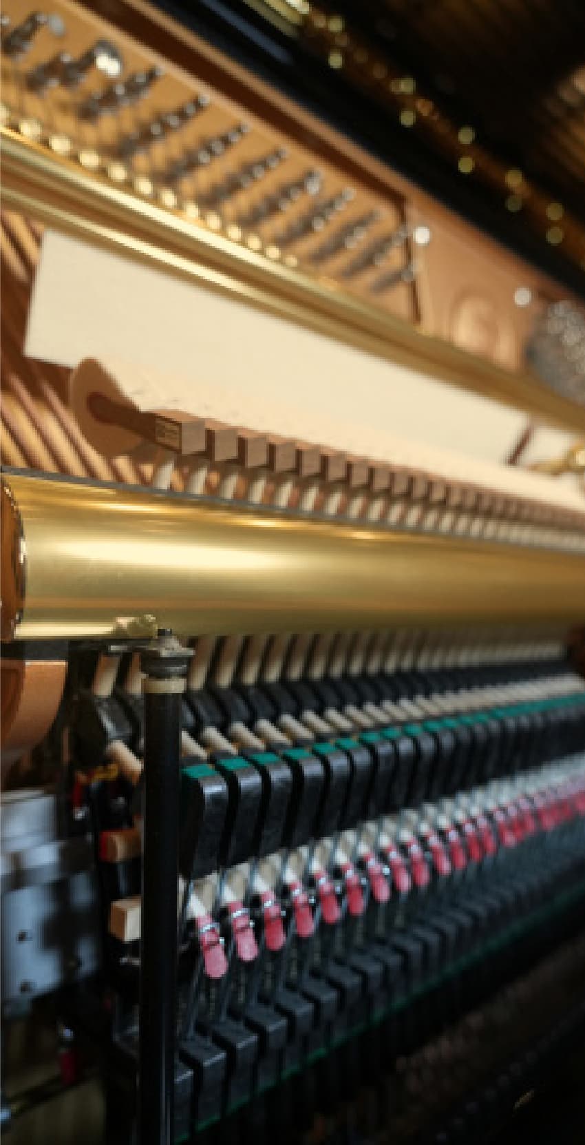 Millennium III Upright Actio