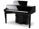 Hybrid Pianos