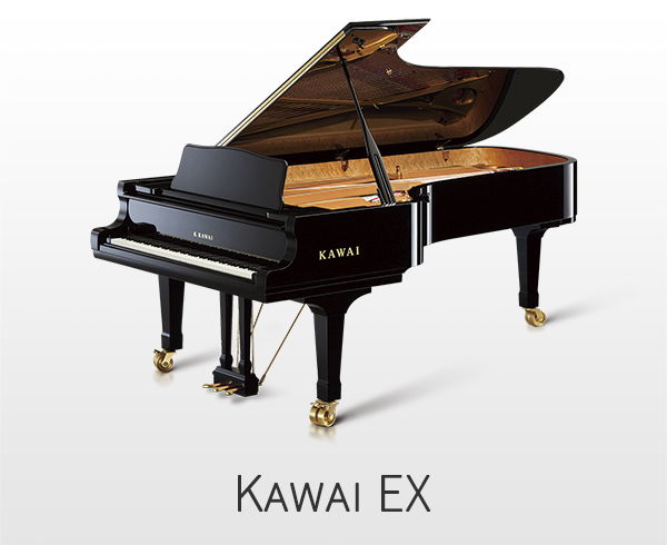 Piano à Queue Numérique KAWAI DG30