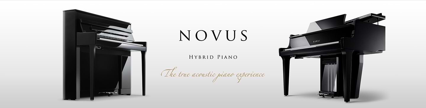 ち*ぃ様 コルネット KAWAI By MUSICA ECR--60L Amazon.co.jp: KAWAI/トランペット ETR-32L : 楽器・音響機器