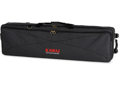 Kawai ES-920 Zwart + Standaard (DPS-10) & Koptelefoon