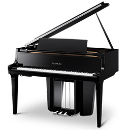 Novus NV12