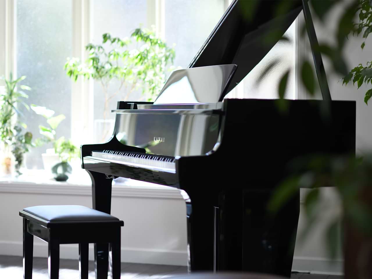 Novus NV12