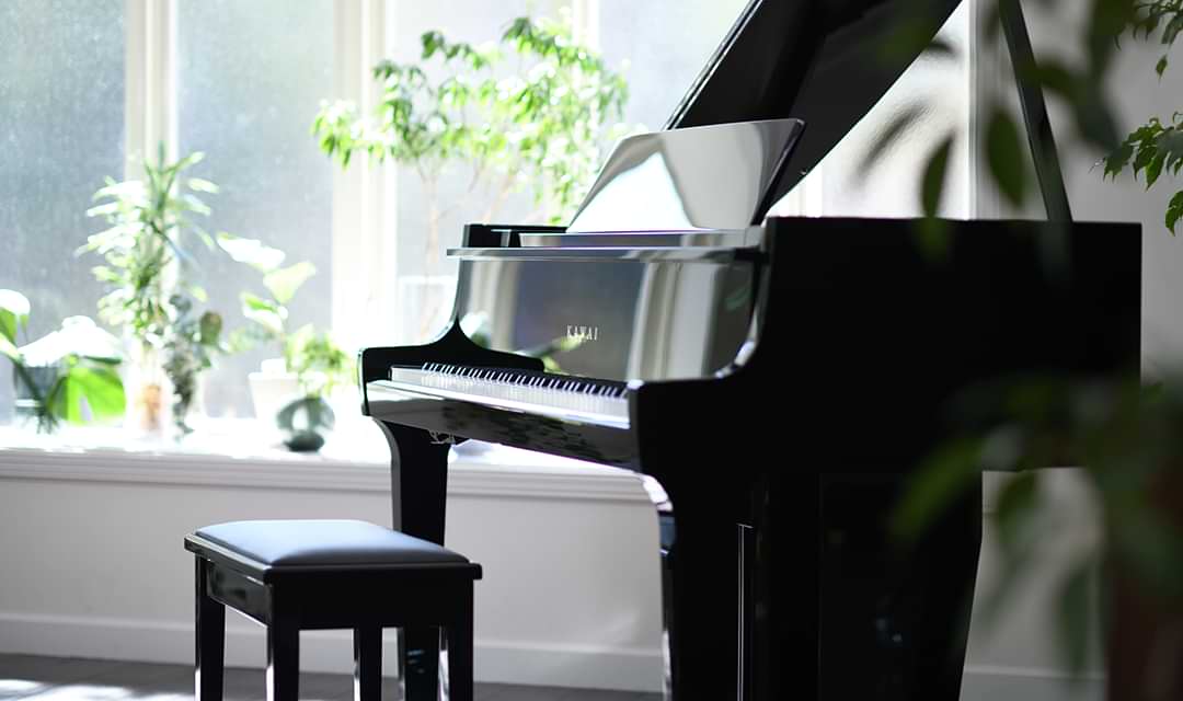 Novus NV12